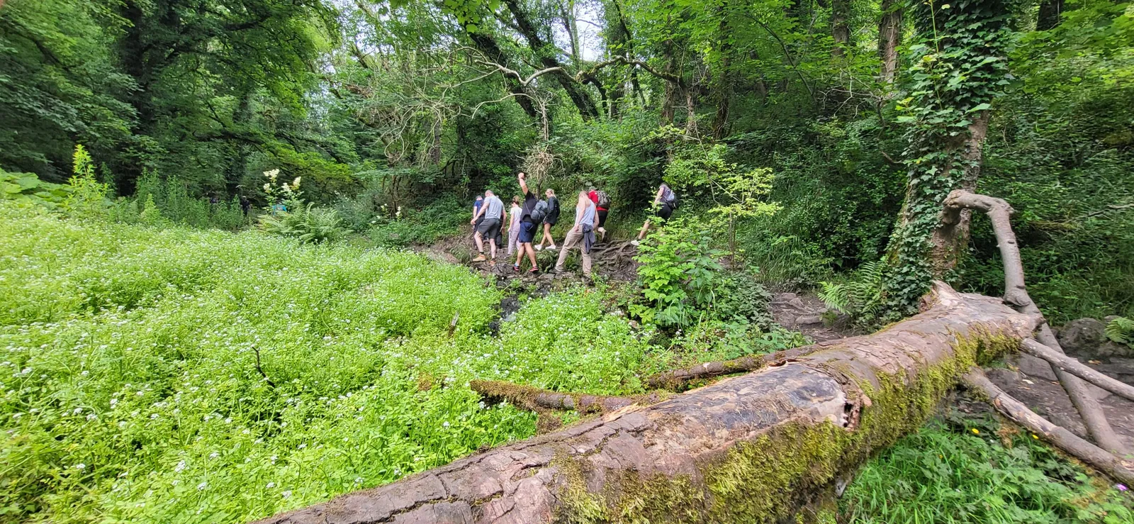 A group walking in a river valley